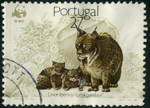 Portugal - 1988 - WWF Lince Iberico - 27Esc00
