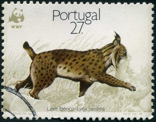 Portugal - 1988 - WWF Lince Iberico - 27Esc00