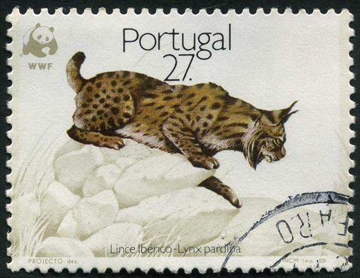 Portugal - 1988 - WWF Lince Iberico - 27Esc00