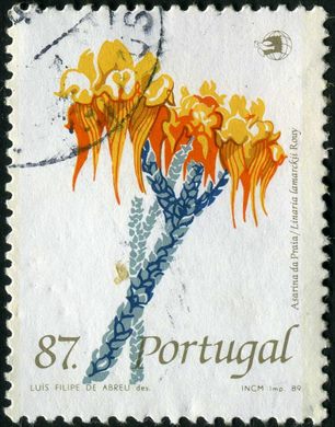 Portugal - 1989 - Flores Selvagens Asarina da Praia - 87Esc