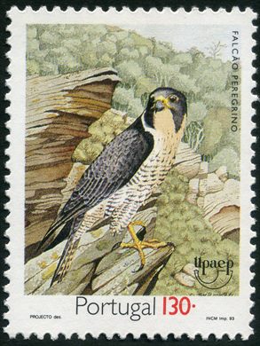 Portugal - 1993 - UPAEP Falcao Peregrino - 130Esc