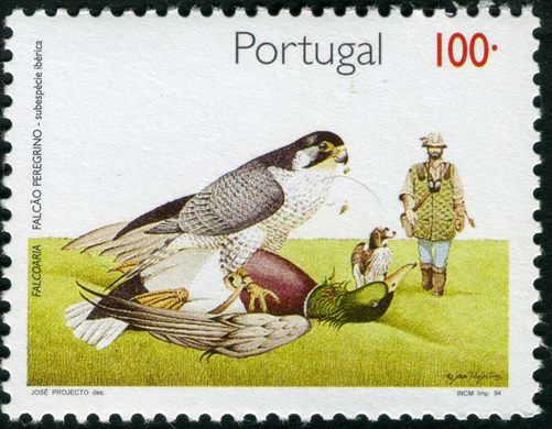 Portugal - 1994 - Falcoaria Falcao Peregrino Iberico - 100Esc00