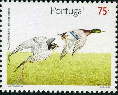 Portugal - 1994 - Falcoaria Falcao Peregrino Iberico - 75Esc00