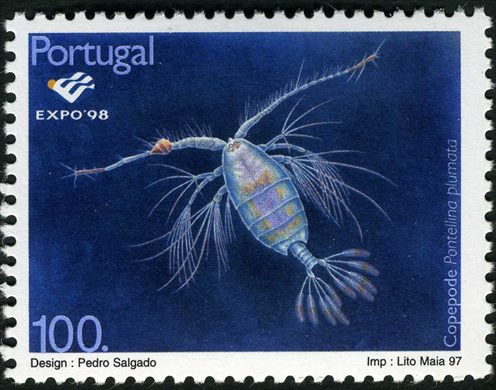 Portugal - 1997 - Expo 98 Lisboa Vida Marinha Copepode Pontellina plumata - 100Esc00