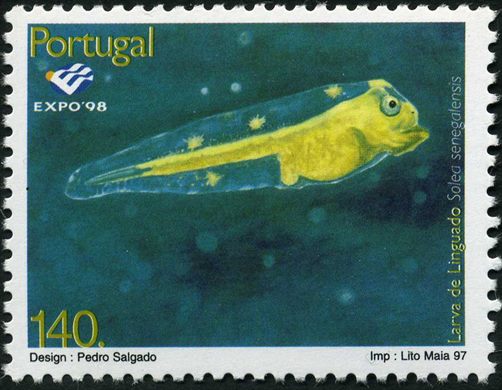 Portugal - 1997 - Expo 98 Lisboa Vida Marinha Larva de Linguado Solea senegalensis - 140Esc00