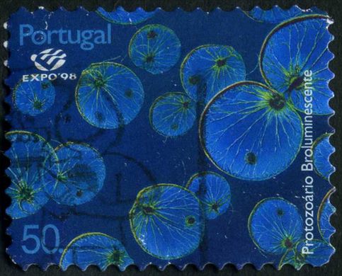 Portugal - 1998 - Expo 98 Lisboa Plancton Protozoario Bioluminescente sem borda branca - 50Esc00