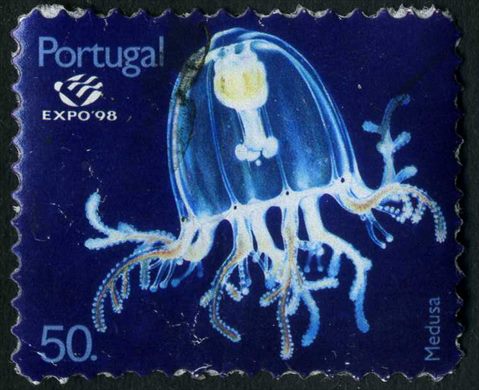 Portugal - 1998 - Expo 98 Lisboa Plancton Medusa sem borda branca - 50Esc00