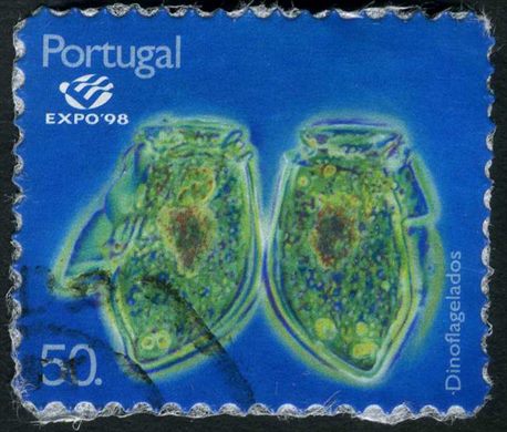 Portugal - 1998 - Expo 98 Lisboa Plancton Dinoflagelados sem borda branca - 50Esc00