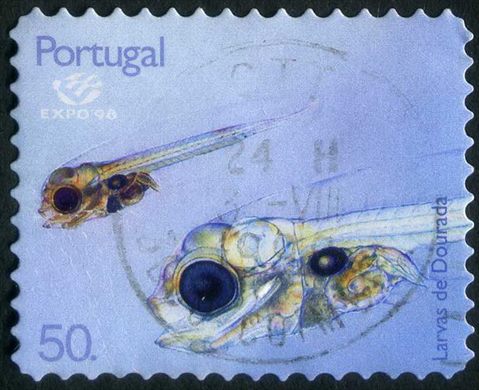 Portugal - 1998 - Expo 98 Lisboa Plancton Larvas de Dourada sem borda branca - 50Esc00