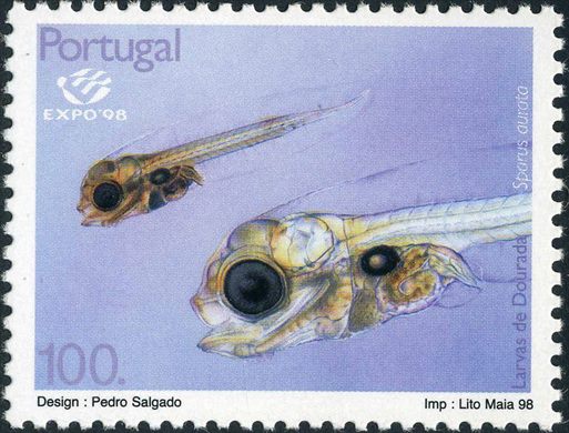 Portugal - 1998 - Expo 98 Lisboa Vida Marinha Larvas de Dourada Sparus aurata - 100Esc00