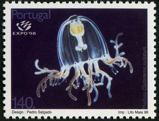 Portugal - 1998 - Expo 98 Lisboa Vida Marinha Medusa Cladonema radiatum - 140Esc00