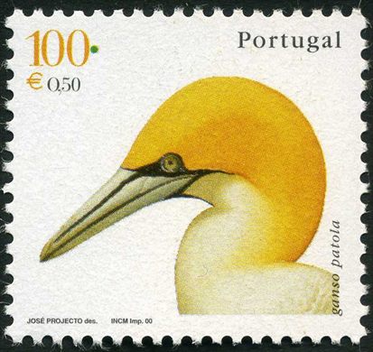 Portugal - 2000 - Aves de Portugal - Ganso Patola - 100Esc