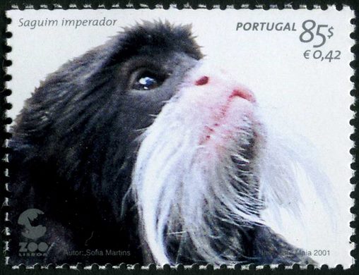Portugal - 2001 - ZOO de Lisboa - Saguim Imperador - 85Esc