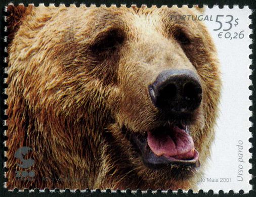 Portugal - 2001 - ZOO de Lisboa - Urso Pardo - 53Esc