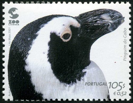 Portugal - 2001 - ZOO de Lisboa - Pinguim do Cabo - 105Esc