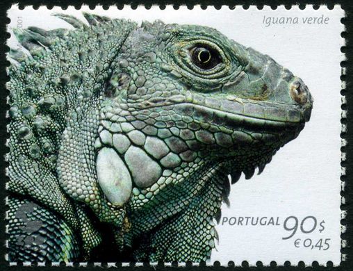 Portugal - 2001 - ZOO de Lisboa - Iguana Verde - 90Esc