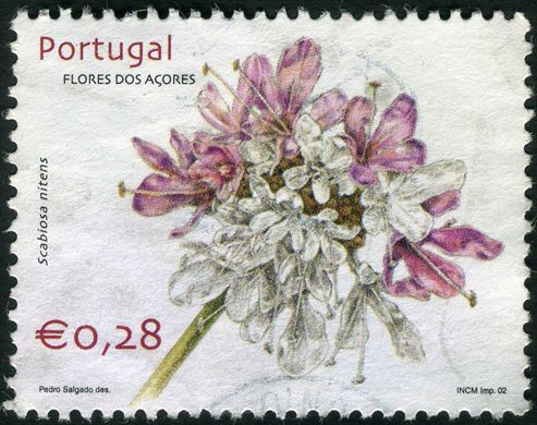 Portugal - 2002 - Flores dos Acores Scabiosa nitens - 0.28Euro