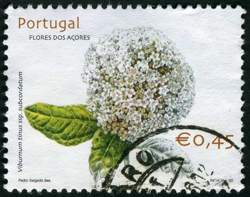 Portugal - 2002 - Flores dos Acores Viburnum tinus - 0.45Euro