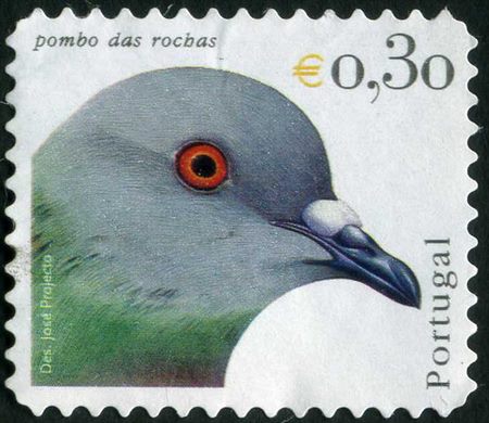 Portugal - 2003 - Aves de Portugal - Pombo das Rochas - 0.30Euro