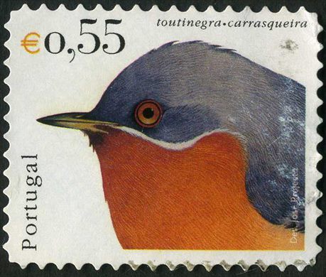 Portugal - 2003 - Aves de Portugal - Toutinegra Carrasqueira - 0.55Euro