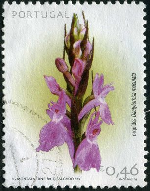 Portugal - 2003 - Orquideas - Dactylorhiza Maculata - 0.46Euro