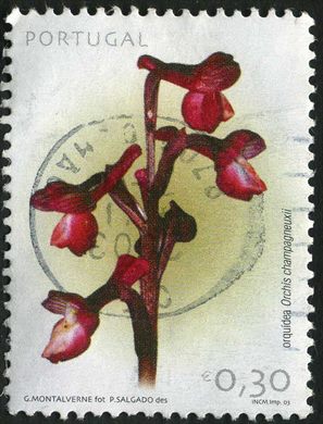 Portugal - 2003 - Orquideas - Orchis Champagneuxii - 0.30Euro