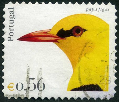 Portugal - 2004 - Aves de Portugal - Papa Figos - 0.56Euro