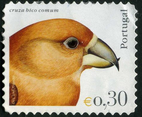 Portugal - 2004 - Aves de Portugal - Cruza Bico Comum - 0.30Euro