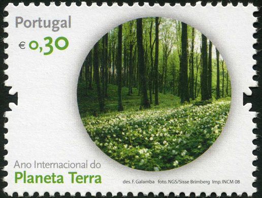 Portugal - 2008 - Ano Internacional Planeta Terra - Floresta - 0.30Euro