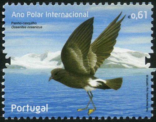 Portugal - 2008 - Ano Polar Internacional - Painho Casquilho - 0.61Euro