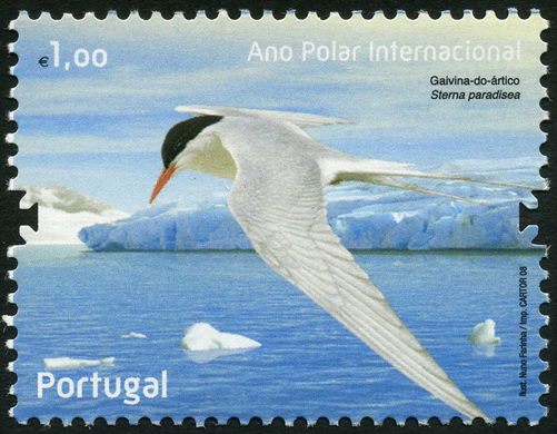 Portugal - 2008 - Ano Polar Internacional - Gaivina do Artico - 1.00Euro