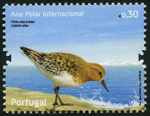 Portugal - 2008 - Ano Polar Internacional - Pilrito das Praias - 0.30Euro