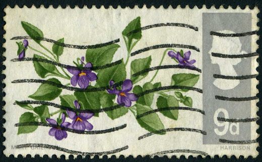 Reino Unido - 1967 - Flores Silvestres - Violetas - 9D