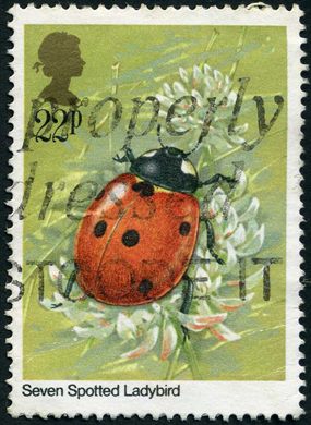 Reino Unido - 1985 - Insetos - Seven Spotted Ladybird - 22P
