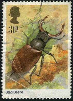 Reino Unido - 1985 - Insetos - Stag Beetle - 31P