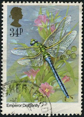 Reino Unido - 1985 - Insetos - Emperor Dragonfly - 34P
