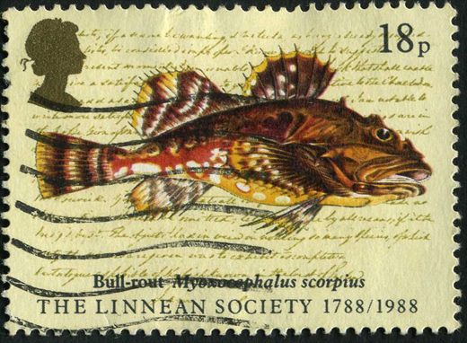 Reino Unido - 1988 - Sociedade Linneana - 18p