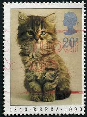 Reino Unido - 1990 - RSPCA - Gato - 20P