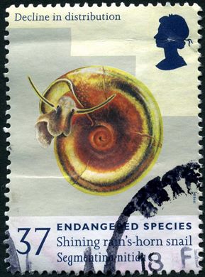 Reino Unido - 1998 - Especies Ameacadas - Segmentina nitida - 37P