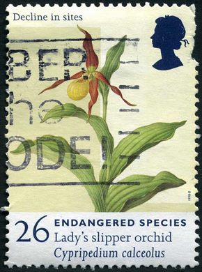 Reino Unido - 1998 - Especies Ameacadas - Cypripedium calceolus - 26P