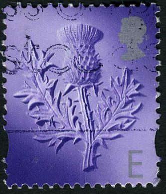 Reino Unido - Sem Data - Escocia Cardo - TaxaE