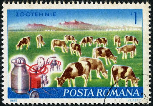 Romenia - 1982 - Zootehnie - 1L