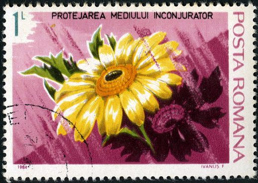 Romenia - 1984 - Protejarea Mediului Inconjurator Flores - 1L
