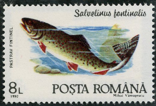 Romenia - 1992 - Peixes Salvelinus fontinalis - 8L