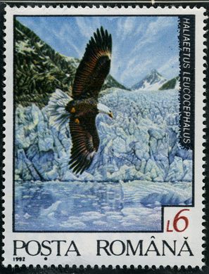 Romenia - 1992 - Haliaeetus leucocephalus - 6L