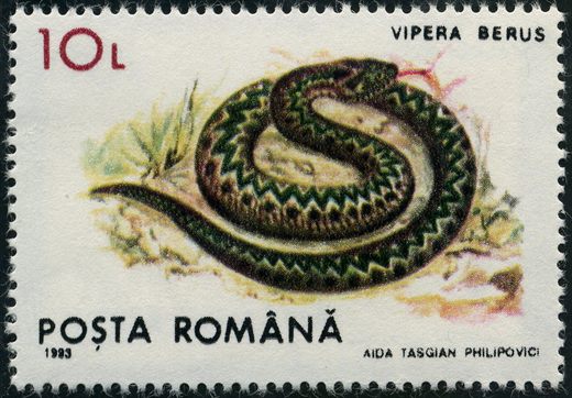 Romenia - 1993 - Reptes Vipera berus - 10L