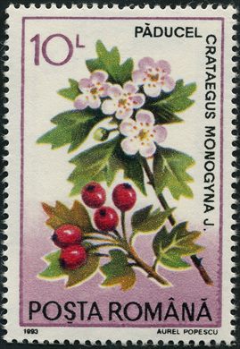 Romenia - 1993 - Flora - 10L