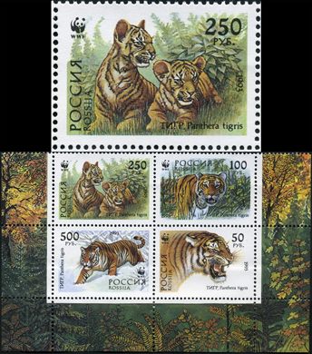 Russia - 1993 - WWF Tigre Panthera tigris Femea e Cria - 250Rub