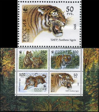 Russia - 1993 - WWF Tigre Panthera tigris Rugindo - 50Rub