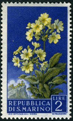 Sao Marino - 1957 - Flora - 2L